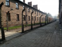 Muzeum Auschwitz-Birkenau